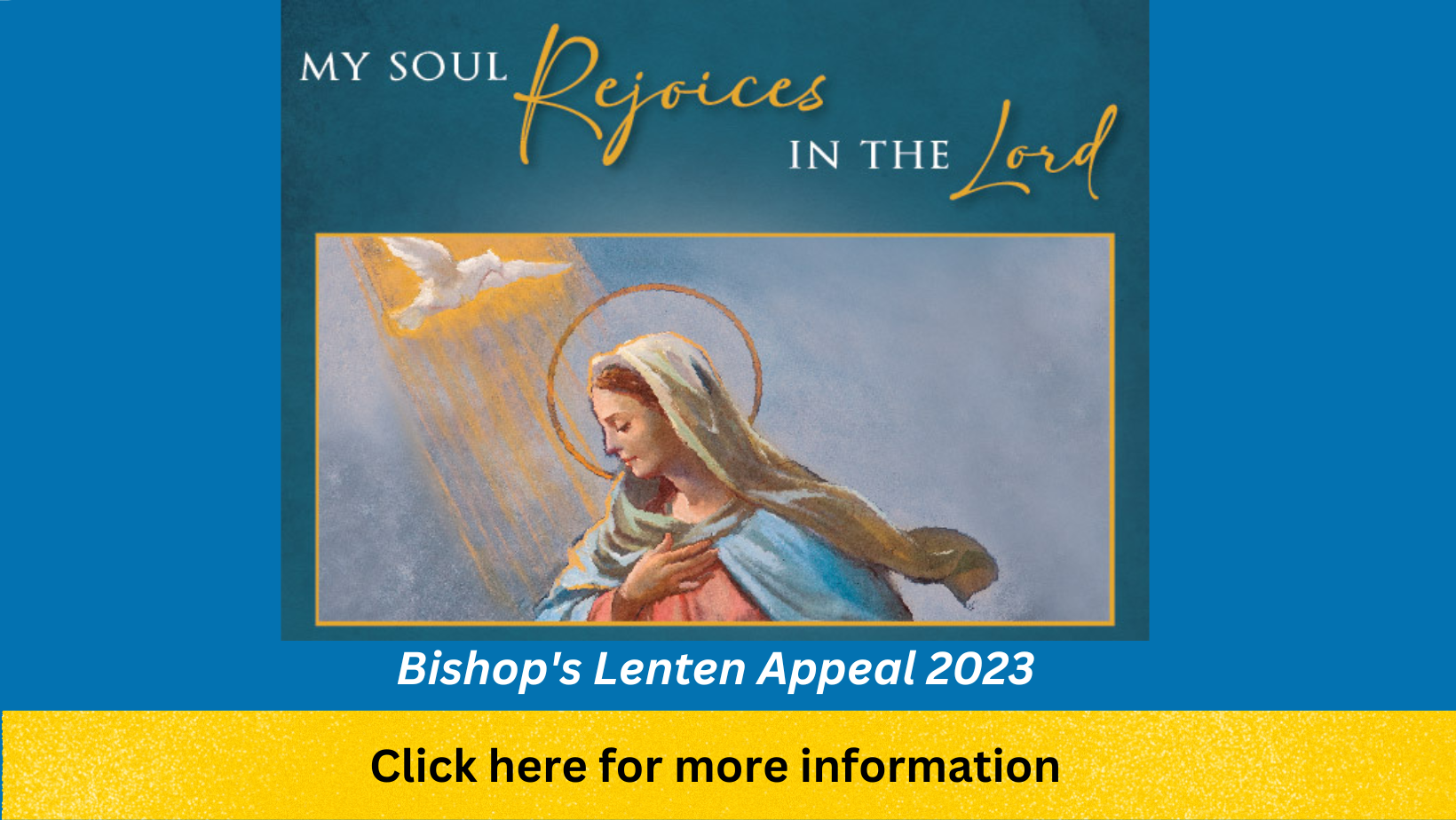 Bishops Lenten Appeal 2023 Homepage tile
